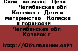 Сани - коляска › Цена ­ 2 500 - Челябинская обл., Копейск г. Дети и материнство » Коляски и переноски   . Челябинская обл.,Копейск г.